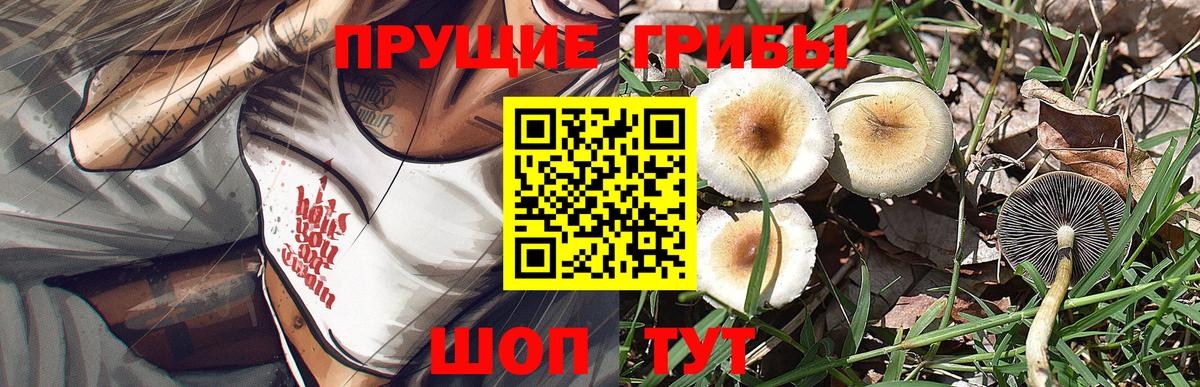 Галлюциногенные грибы ЛСД Мурино